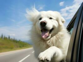 contento perro montando en un coche con sus cabeza fuera el ventana ai generativo foto