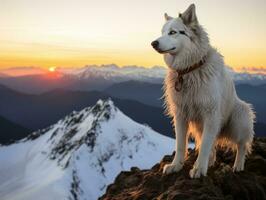 majestuoso perro en pie con orgullo en un montaña pico ai generativo foto