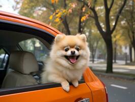 contento perro montando en un coche con sus cabeza fuera el ventana ai generativo foto