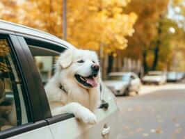 Happy dog riding in a car with its head out the window AI Generative photo