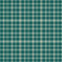 Tartan plaid pattern with texture and nature color. vector