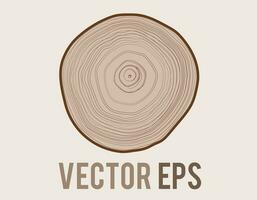 Vector tree with woodgrain ring natural texture from top view