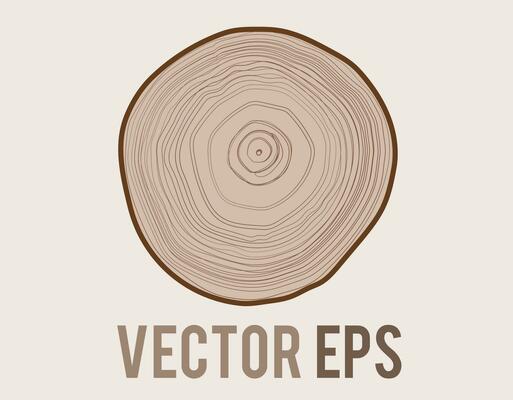 Vector tree with woodgrain ring natural texture from top view