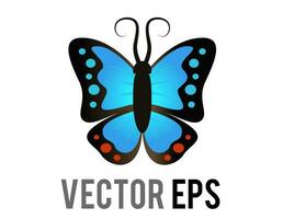 Vector beautiful winged insect butterfly icon with blue and black morpho wings outspread