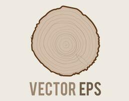 Vector tree with woodgrain ring natural texture from top view