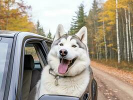 Happy dog riding in a car with its head out the window AI Generative photo