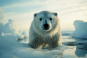 Endearing arctic creature gazes at the camera amid icy surroundings AI Generated photo