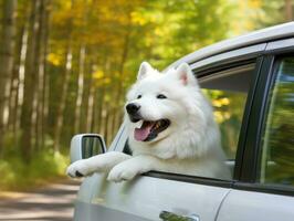 Happy dog riding in a car with its head out the window AI Generative photo