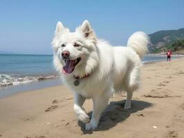 Happy dog playing on the beach AI Generative photo