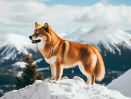 majestuoso perro en pie con orgullo en un montaña pico ai generativo foto