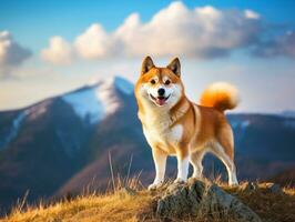 Majestic dog standing proudly on a mountain peak AI Generative photo