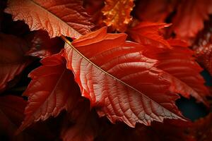 animado matices en un otoño hoja imitar oro y carmesí telones de fondo ai generado foto