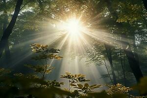 Sunlight dances on the leaves in a peaceful, wooded paradise AI Generated photo