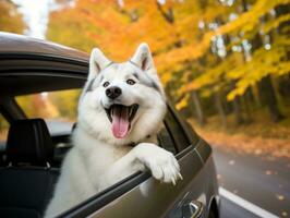 Happy dog riding in a car with its head out the window AI Generative photo