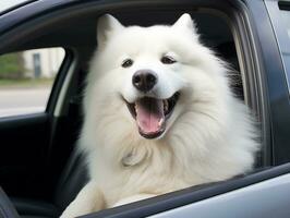 Happy dog riding in a car with its head out the window AI Generative photo