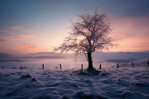 In a picturesque winter landscape, a lone tree stands with grace AI Generated photo