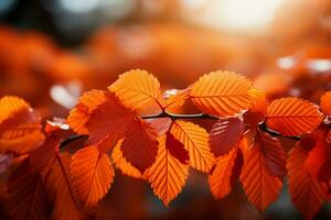 vibrante naranja y carmesí hojas disfrutar en el otoño luz de sol ai generado foto