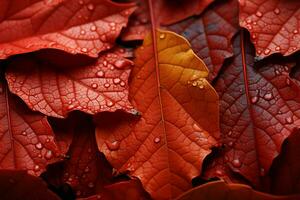 Lively hues on an autumn leaf mimic gold and crimson backdrops AI Generated photo