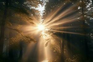 Golden sun rays pierce through a tranquil, wooded forest landscape AI Generated photo