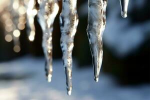 Icicles dangle like frozen diamonds from the trees frosty limbs AI Generated photo