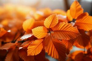 Autumn foliage shines with warm hues of orange and crimson AI Generated photo