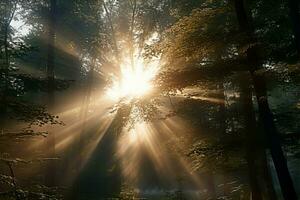 Golden sun rays pierce through a tranquil, wooded forest landscape AI Generated photo