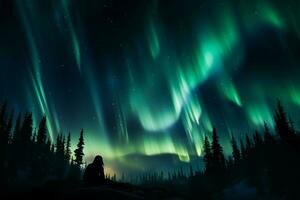 Couple basks in the enchanting glow of the Northern Lights AI Generated photo