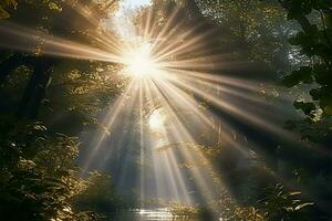 Radiant sun rays illuminate a tranquil, leafy sanctuary in nature AI Generated photo