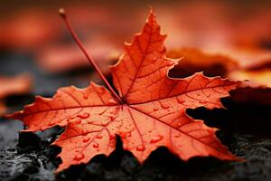A vibrant, fiery red autumn leaf, resembling a painted stage backdrop AI Generated photo