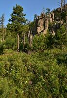 Hiking Trail with a Large Rock Formation photo
