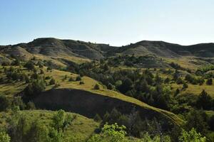 Gorgeous Lush Landscape of the Black Hills photo