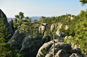 Mountain Range with a Bent Tree in the Wind photo