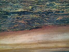 Closeup of tree trunk. Concrete wood texture. Tree bark texture of the cement relief plaster wall with natural color paint. photo