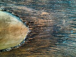 Closeup of tree trunk. Concrete wood texture. Tree bark texture of the cement relief plaster wall with natural color paint. photo