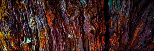 close up of a bark texture photo