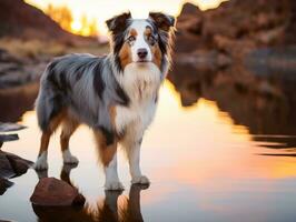 perro y sus reflexión en un calma estanque ai generativo foto