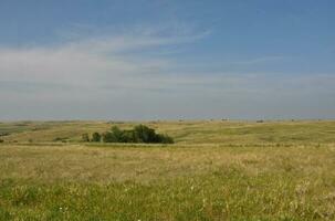 Grasslands and Fields as Far as the Eye Can See photo