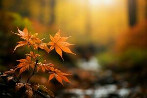 Autumns resplendent foliage paints a breathtaking natural background scene AI Generated photo