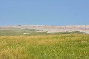 Stunning Scenic Landscape with a Lush field photo