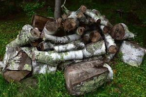 Collection of Birch Bark Logs in the Summer photo