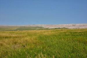 Lush Fields in Front of the Badlands photo