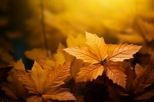 el antecedentes adornado con el vibrante belleza de otoño follaje ai generado foto