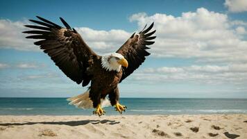 A beautiful summer day with blue sky and a lone Steller's sea eagle over the beach AI Generative photo