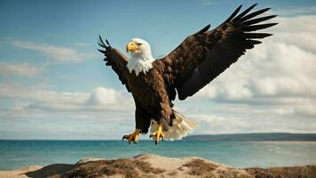 A beautiful summer day with blue sky and a lone Steller's sea eagle over the beach AI Generative photo