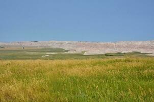 Lovely Meadow in Front of the Badlands photo
