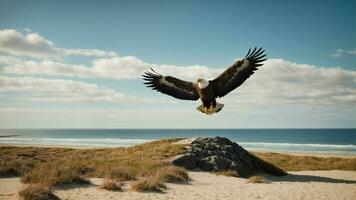 A beautiful summer day with blue sky and a lone Steller's sea eagle over the beach AI Generative photo