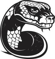 Pythons Artistic Journey Vector Illustration Basics Creating Vector Art from Scratch with Python