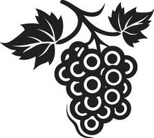 uvas en el vino maravilloso vector creaciones uva belleza en digital Arte vector tiempo de la funcion