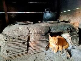 un amarillo masculino gato es mirando para calor en el tradicional estufa agujero en un pueblo cocina en el Mañana foto