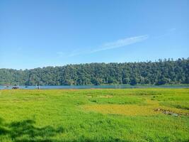 Beautiful view of the camping site on the shore of Lake Buyan Bali on a sunny morning photo